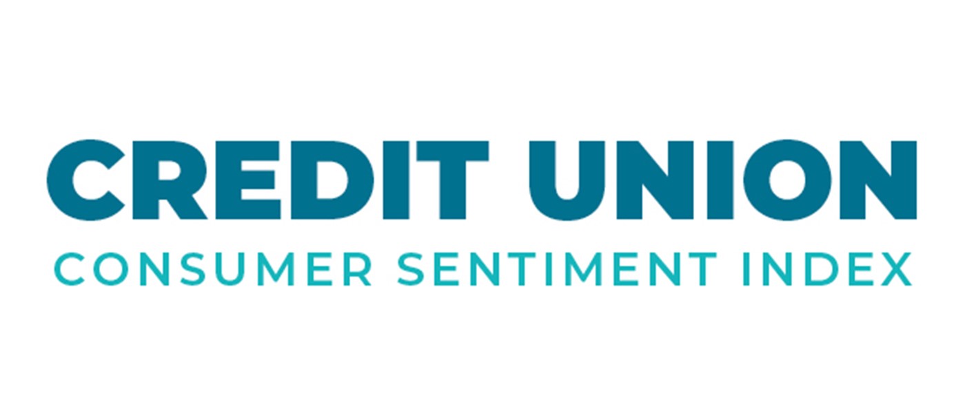 Irish Consumer Sentiment Report