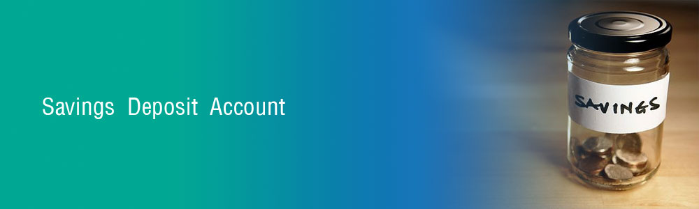 tui-credit-union-deposit-accounts